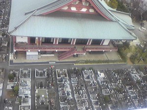 お墓とお寺