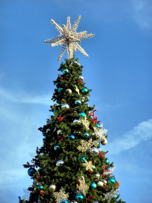 outdoor christmas tree