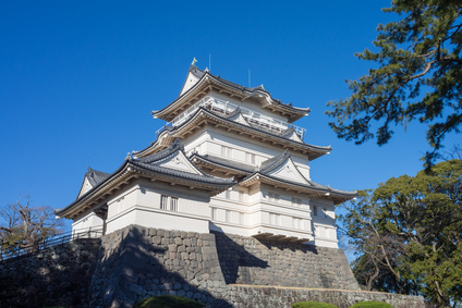 Odawara castle