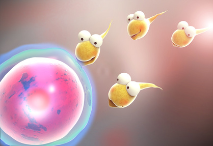 精子と卵子のイメージ図