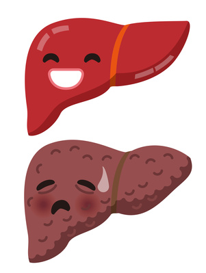 健康な肝臓と不健康な肝臓